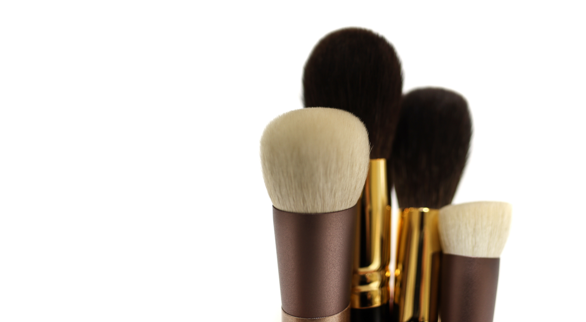 Makeup Brush Bristle Types Fude Beauty