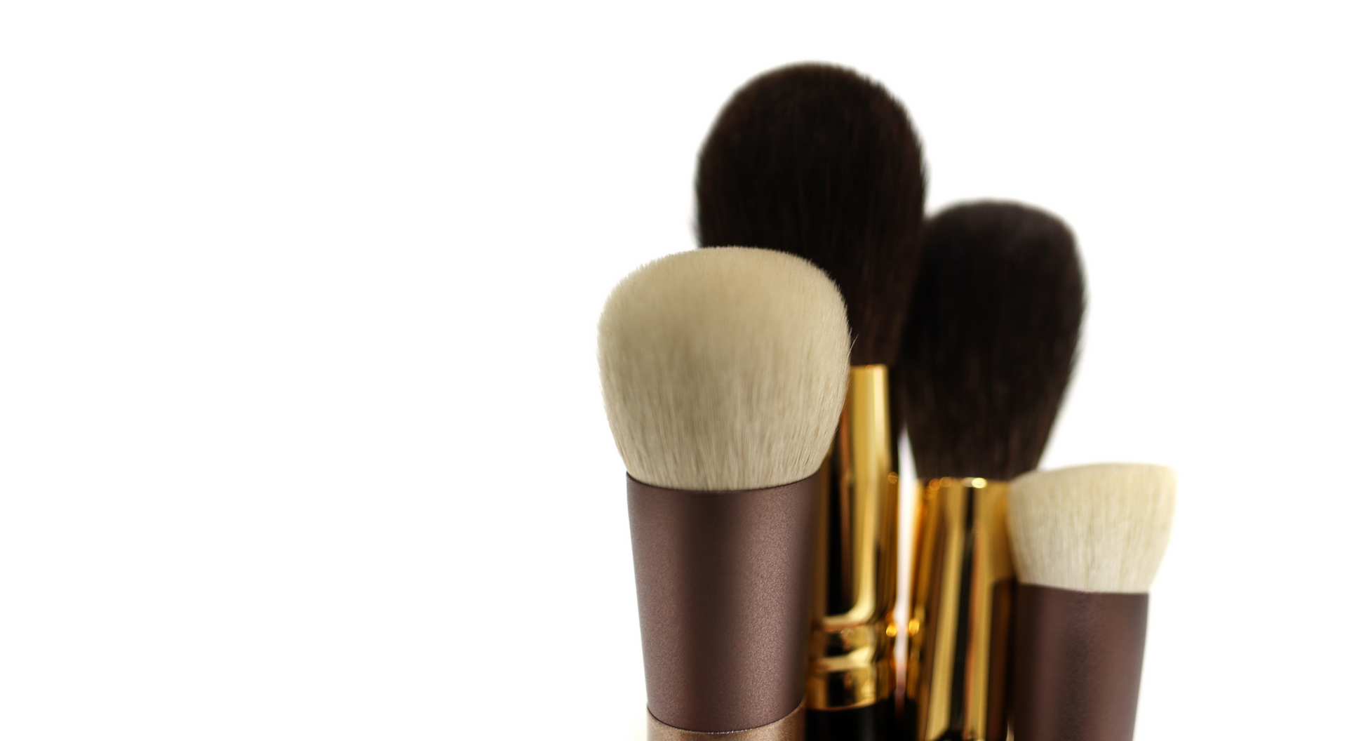 Red Fox and Saibikoho selling Goat Mixed Powder Brush