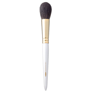 Chikuhodo GSN-Series 9-Piece Brush Set - Fude Beauty, Japanese Makeup Brushes